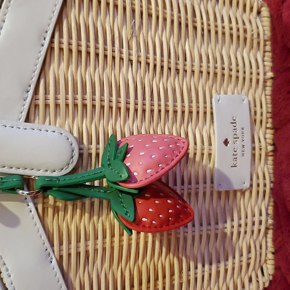 Kate Spade picnic bag NWT
